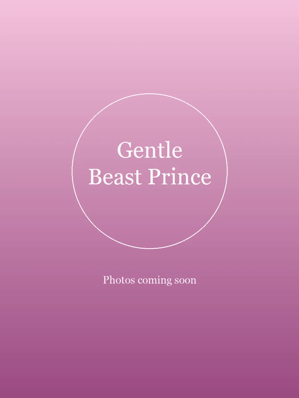 Gentle Beast Prince party character photo 1