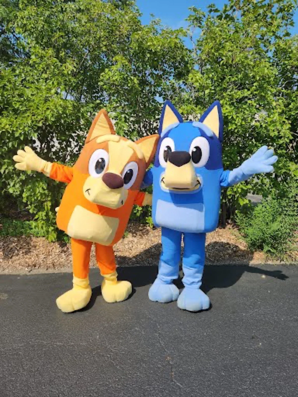 Blue Heeler Pup party character in Columbus