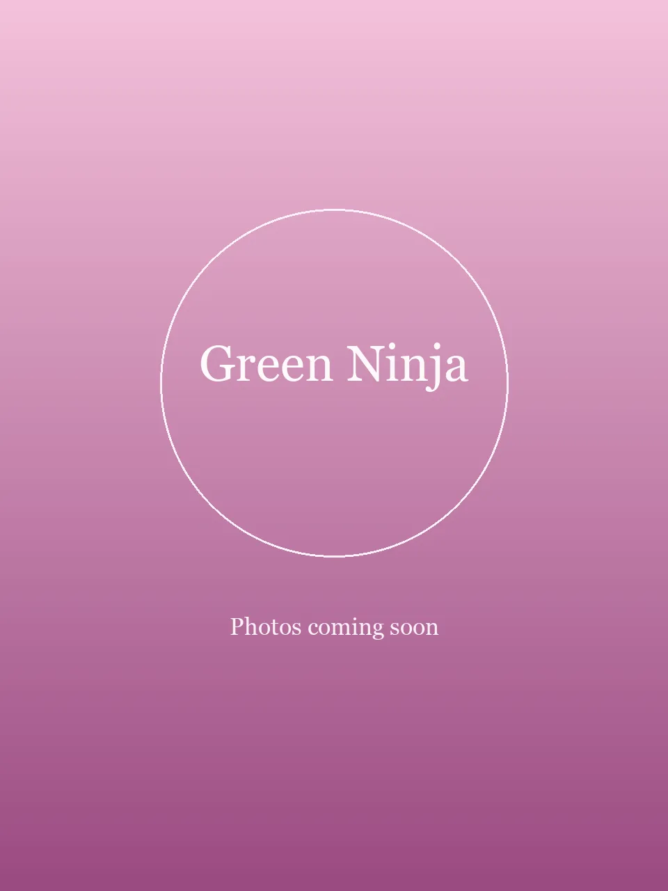 Green Ninja party character photo 1