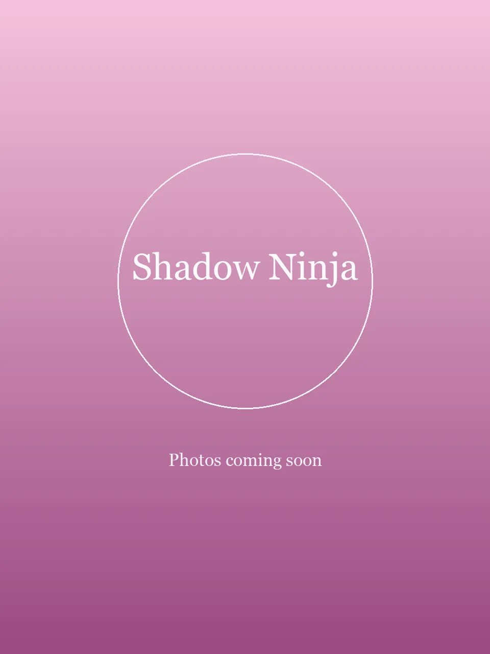Shadow Ninja party character in Columbus