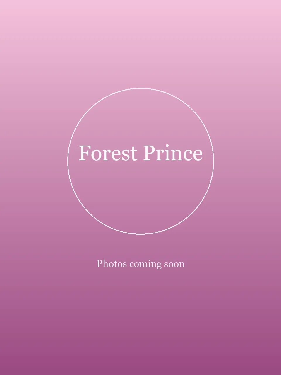 Forest Prince party character photo 1